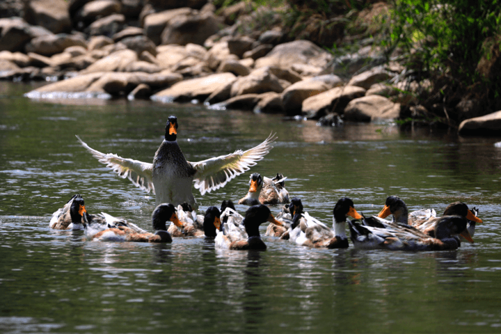 金年会|jinnianhui金年会·(金字招牌)诚信至上官网